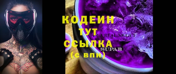мдпв Вяземский