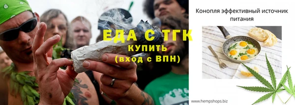 гидра Вязники
