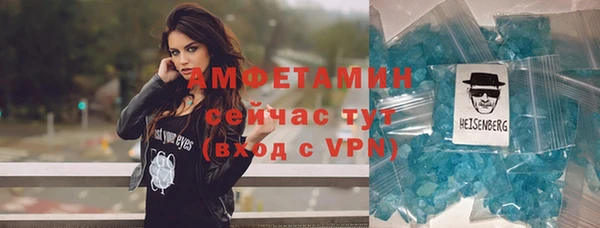 мдпв Вяземский