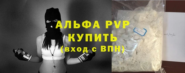 мдпв Вяземский