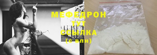 мдпв Вяземский