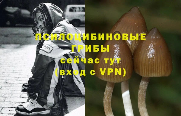 гидра Вязники