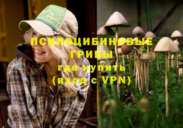 мдпв Вяземский