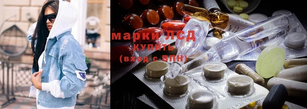 мдпв Вяземский