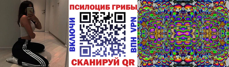 Галлюциногенные грибы мицелий Липки